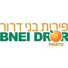 בני דרור