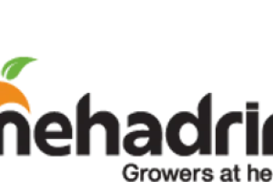 Mehadrin